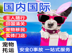 兴凯湖机场货运国际宠物托运 【国